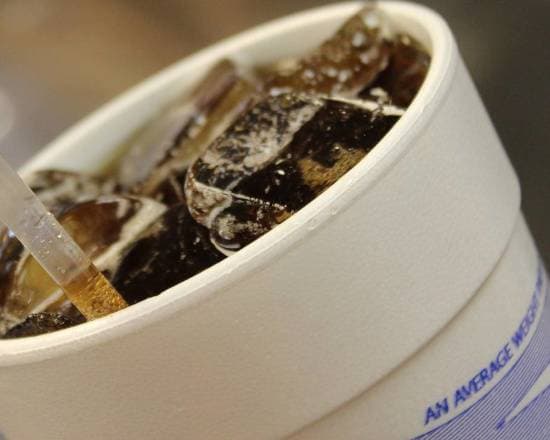 Soft Drink